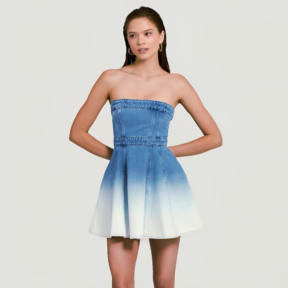 NEW Amanda Uprichard Meryl Denim Mini Dress in Blue & White Ombre | Size Small - Picture 1 of 13